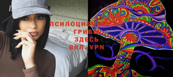 прущая мука Алзамай