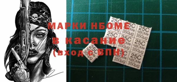 шишки Осташков