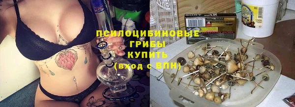 прущие грибы Алексин