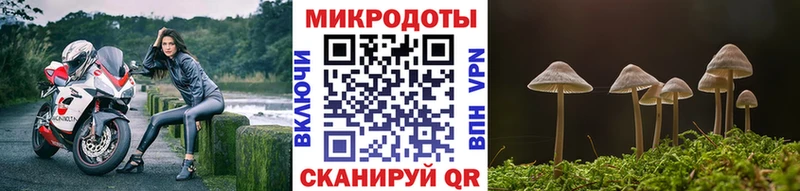 Галлюциногенные грибы MAGIC MUSHROOMS  как найти закладки  omg рабочий сайт  Новочеркасск 