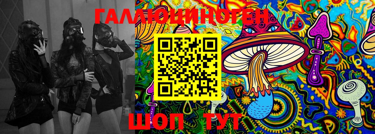Галлюциногенные грибы Psilocybe  Вход с VPN  хочу наркоту  Новочеркасск 